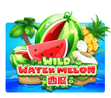 Wild Watermelon